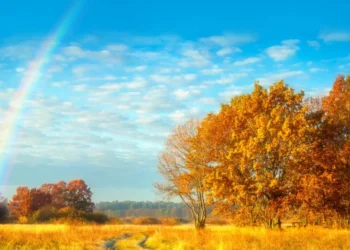 Discover Excellence in Residential Living with Brigade Oasis: Highly Anticipated Plotted Development by Brigade Group in Sought-After North Bangalore